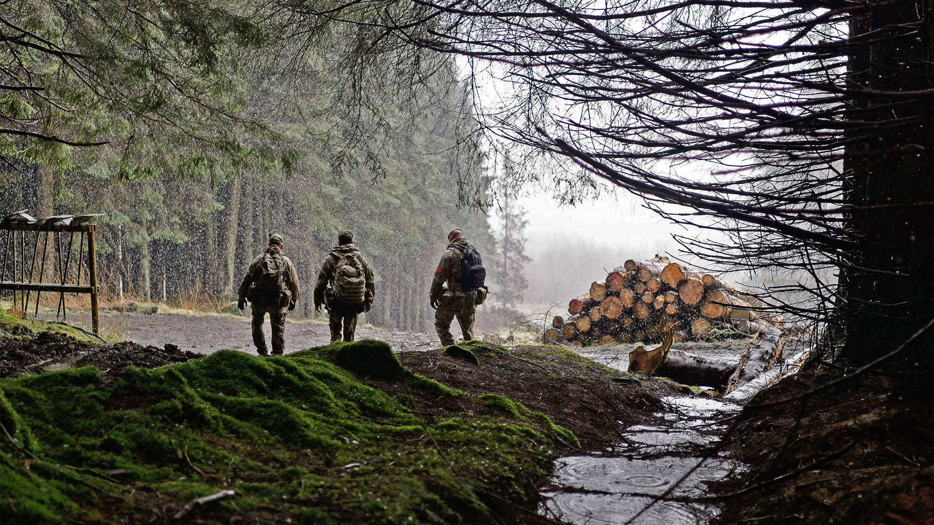 The forested area at Otterburn is used for key training exercises