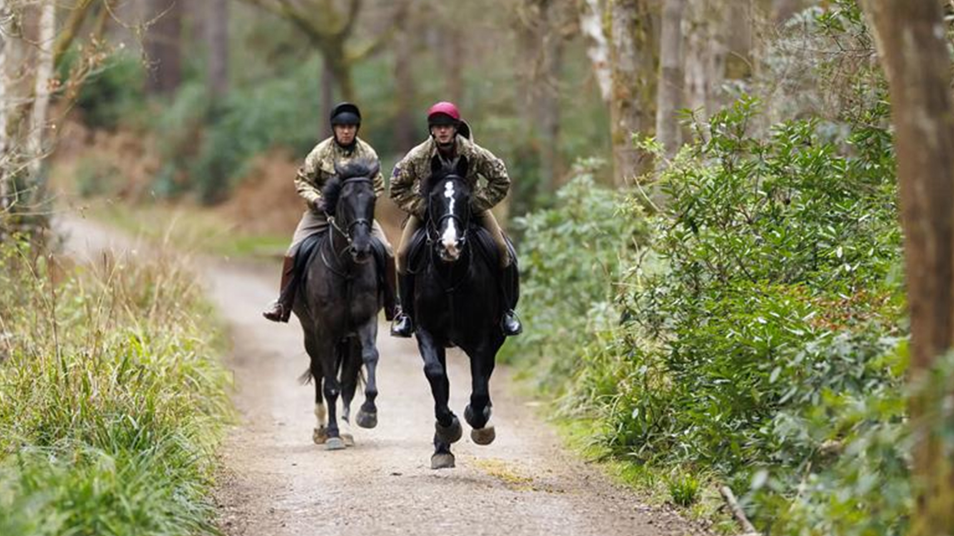 The paths that criss-cross Barossa Training Area at Sandhurst present navigational challenges to the officer cadets on foot as well as the troopers mounted on their horses