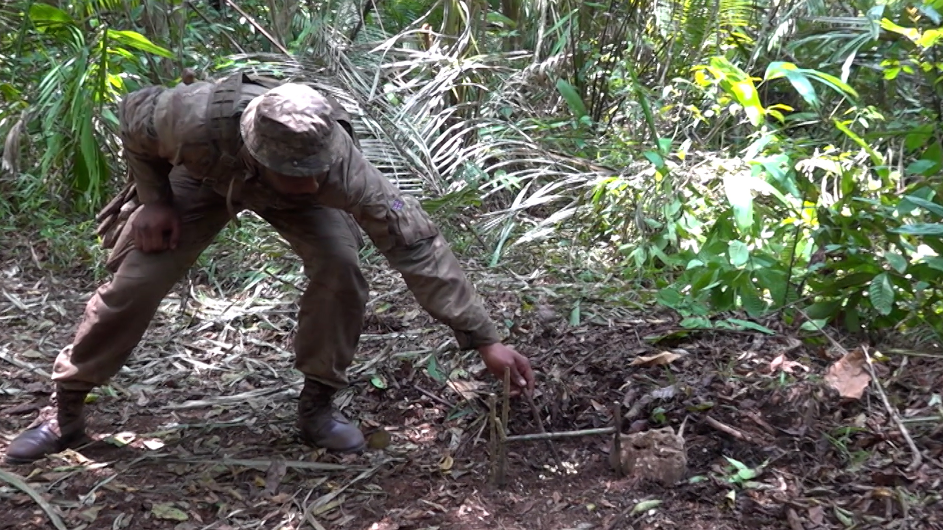 A soldier sets up a dangle trap to catch food in Belize 20062023 Credit BFBS