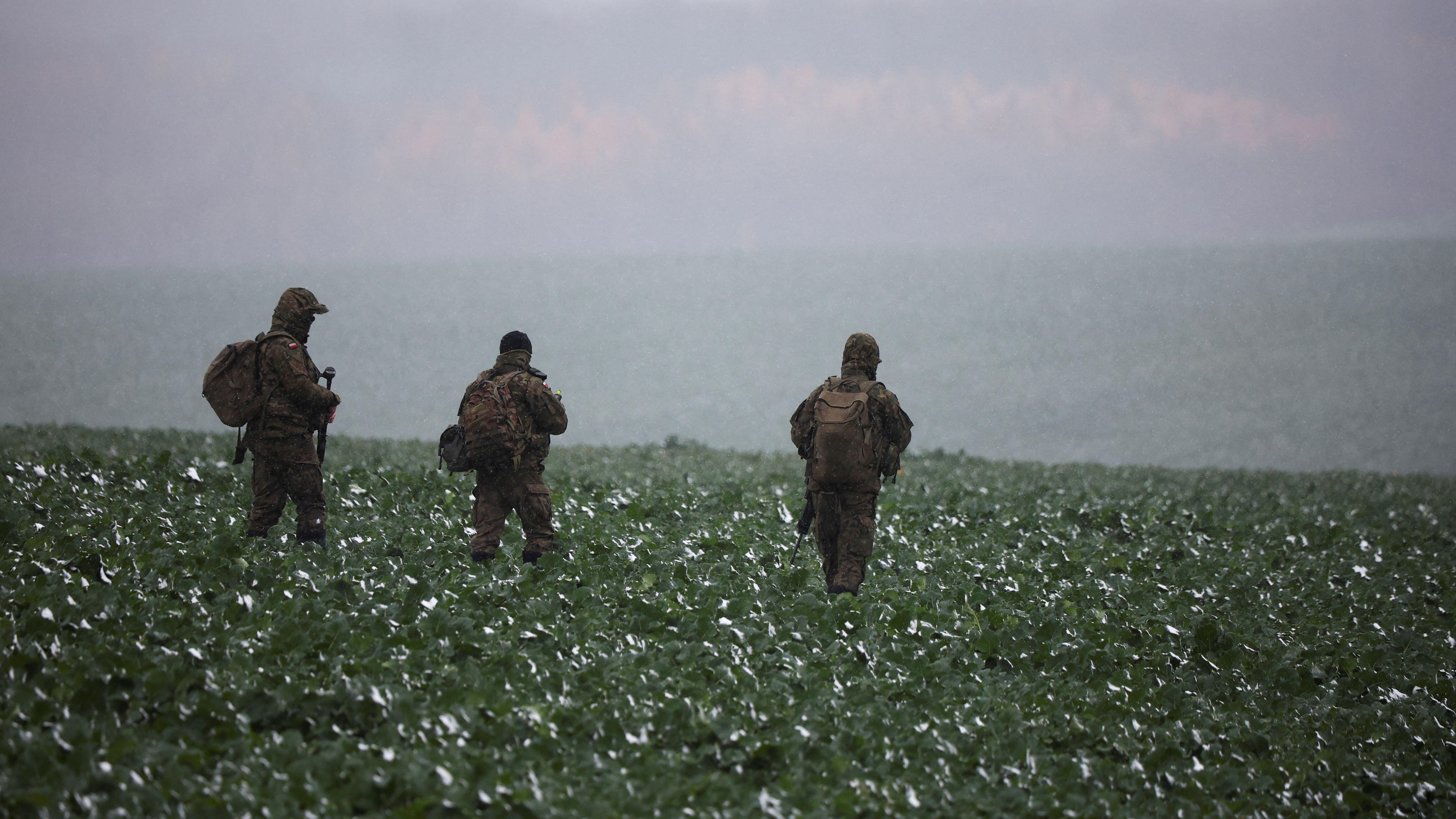 Ukraine has received Vallon mine detectors as part of the support sent by Britain (Picture: Alamy).