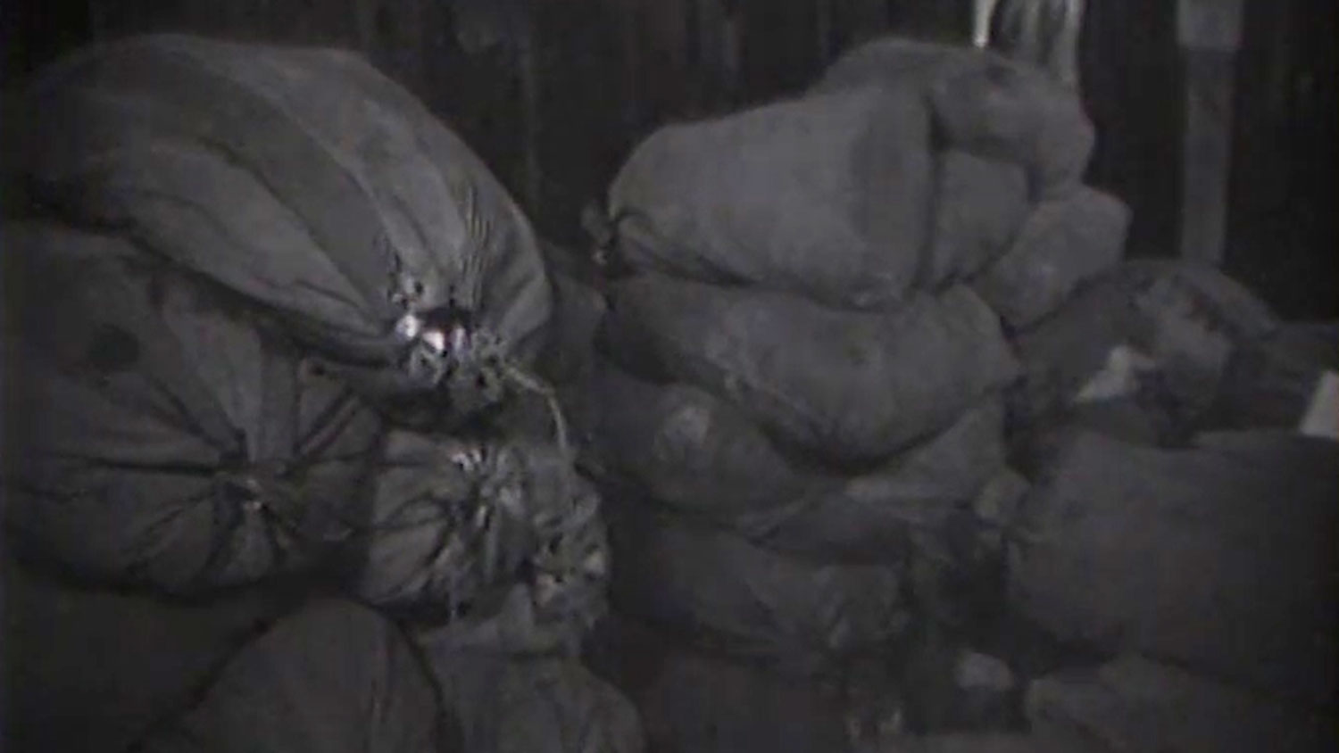 Mail destined for US troops in Europe had piled up in rat-infested warehouses for two years CREDIT US National Archives and Records Administration