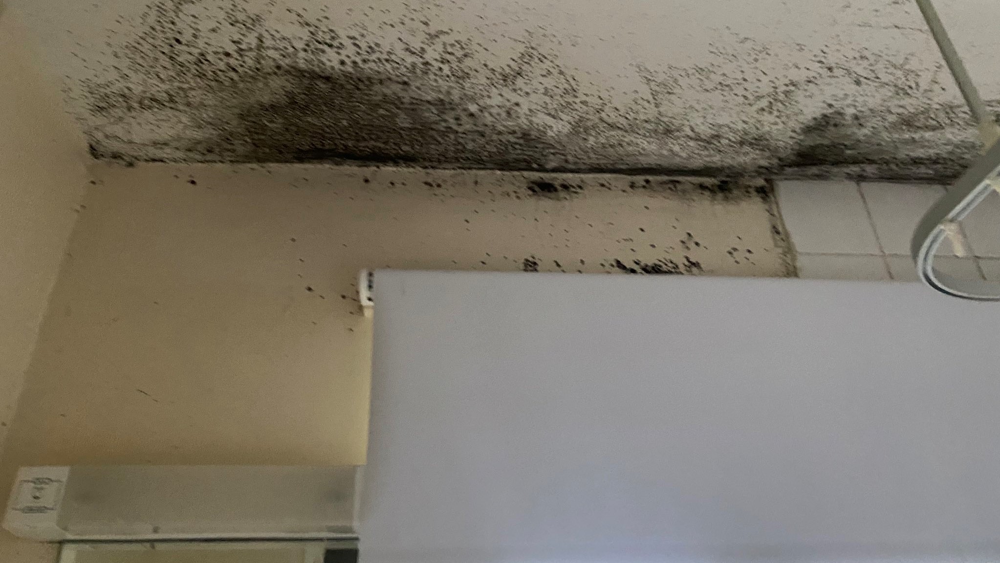 Mould has been a persistent problem for many forces families