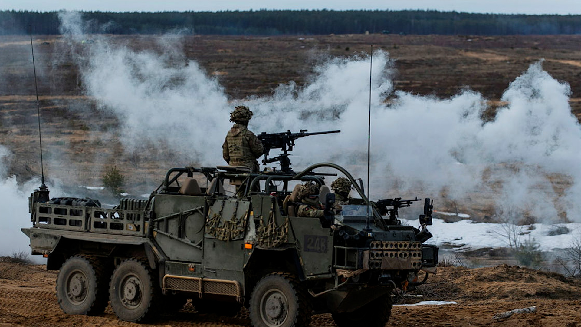 coyote CREDIT MOD .jpg