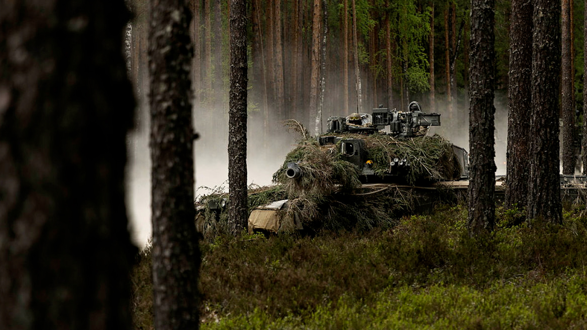 foliage challenger 2 spotted through trees CREDIT MOD.jpg