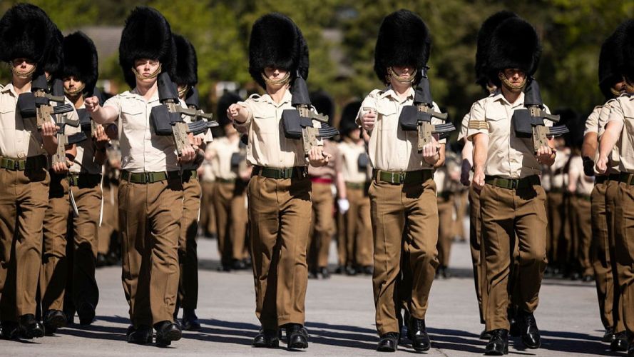 As preparations continue, the Household Division remains focused on delivering a ceremonial display that reflects the professionalism, heritage and pride of the British Army As preparations continue, the Household Division remains focused on delivering a ceremonial display that reflects the professionalism, heritage and pride of the British Army