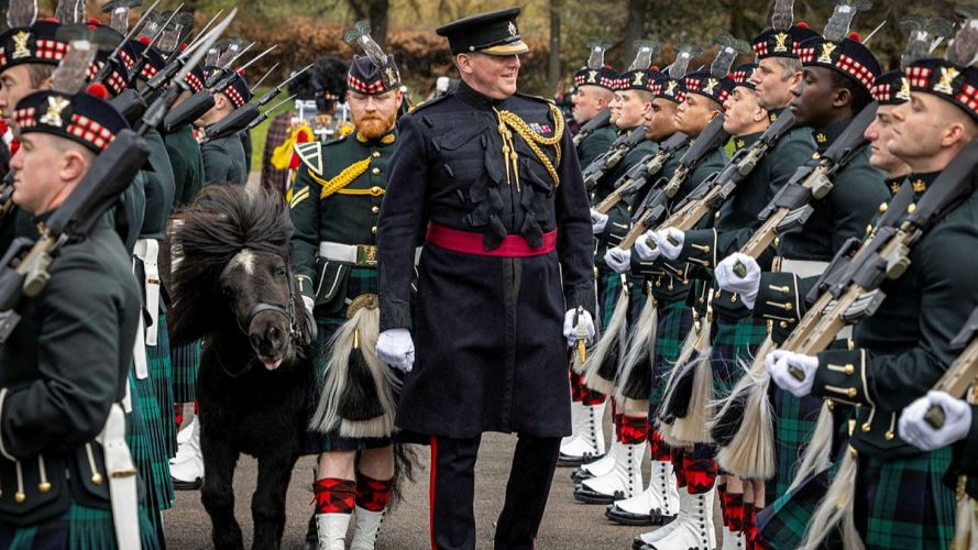 The Household Division's Brigade Major, Lieutenant Colonel Charles Foinette, is joined by Royal Regiment of Scotland mascot Cruachan IV and Pony Major Rory Walker during the inspection The Household Division's Brigade Major, Lieutenant Colonel Charles Foinette, is joined by Royal Regiment of Scotland mascot Cruachan IV and Pony Major Rory Walker during the inspection