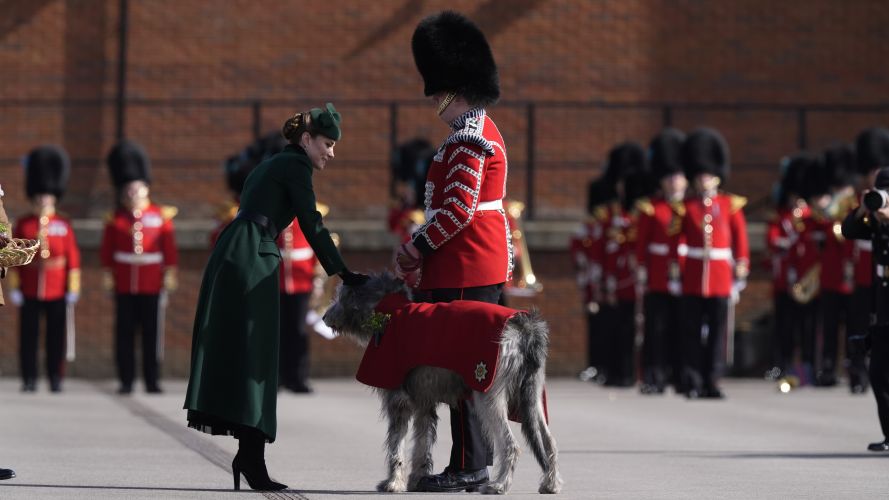 The princess even presented Irish Wolfhound Turlough Mor (aka Seamus), the regimental mascot, with a sprig of shamrock (Picture: PA) P of Wales on St Patrick's Day