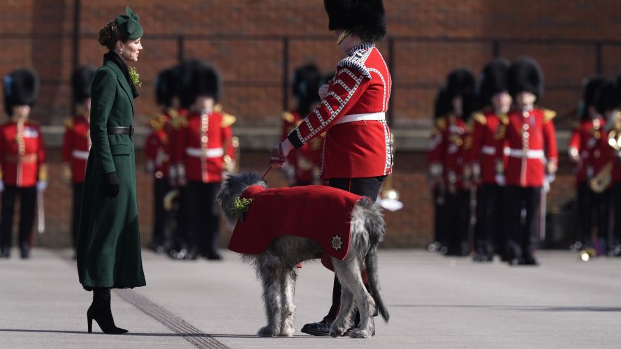 The princess presented Turlough Mor, the regimental mascot, with a sprig of shamrock (Picture: PA) P of Wales on St Patrick's Day