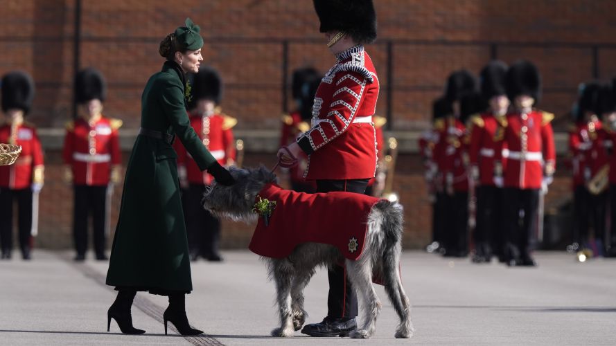 The princess presented Seamus, the regimental mascot, with a sprig of shamrock (Picture: PA) P of Wales on St Patrick's Day