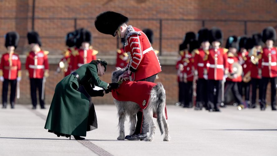 The princess presented Seamus, the regimental mascot, with a sprig of shamrock (Picture: PA) P of Wales on St Patrick's Day