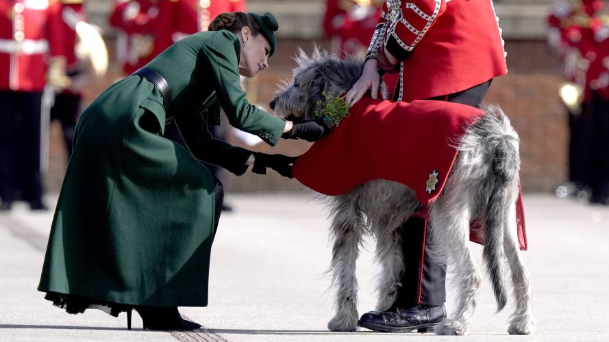 The princess presented Seamus, the regimental mascot, with a sprig of shamrock (Picture: PA) P of Wales on St Patrick's Day