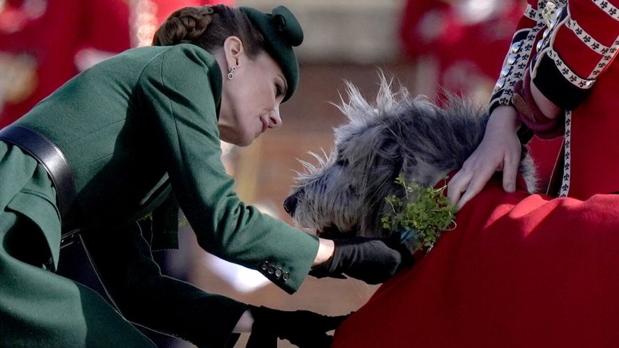 The princess presented Seamus, the regimental mascot, with a sprig of shamrock (Picture: PA) P of Wales on St Patrick's Day