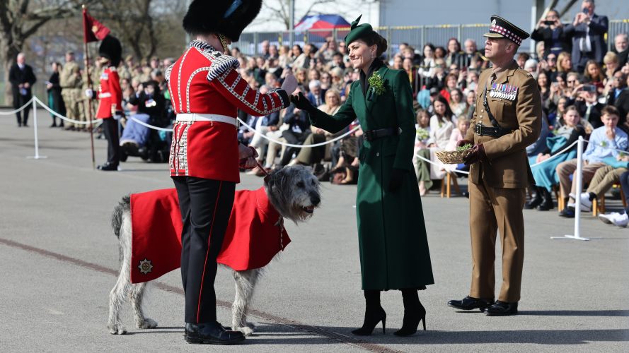 The princess presented Seamus, the regimental mascot, with a sprig of shamrock (Picture: PA) P of Wales on St Patrick's Day