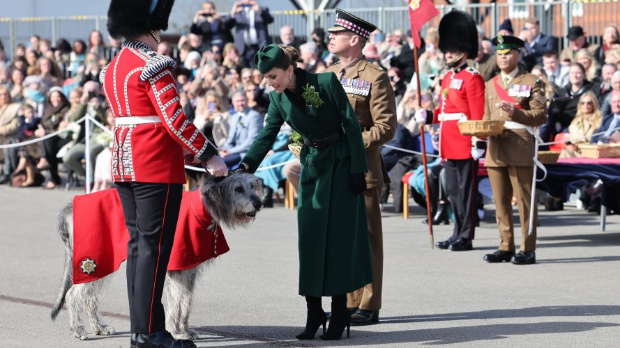 The princess presented Seamus, the regimental mascot, with a sprig of shamrock (Picture: PA) P of Wales on St Patrick's Day