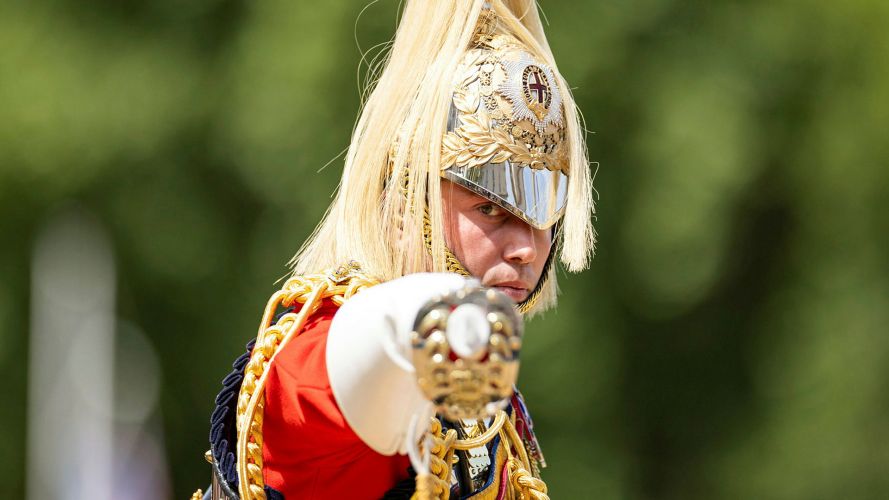 While this year it was the turn of King's Company, 1st Battalion Grenadier Guards to troop their Colour, the event included soldiers from the entire Household Division, including this officer from The Life Guards While this year it was the turn of King's Company, 1st Battalion Grenadier Guards to troop their Colour, the event included soldiers from the entire Household Division, including this officer from The Life Guards