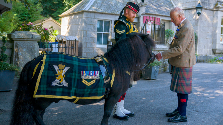 The King meets the Royal Regiment of Scotland mascot at Balmoral (Picture: PA) Corporal Cruachan IV
