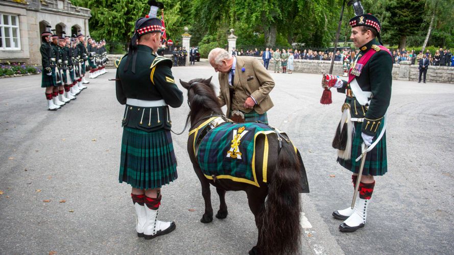 Corporal Cruachan IV welcomes King Charles to Balmoral in August 2023 (Picture: Army in Scotland X) Corporal Cruachan IV