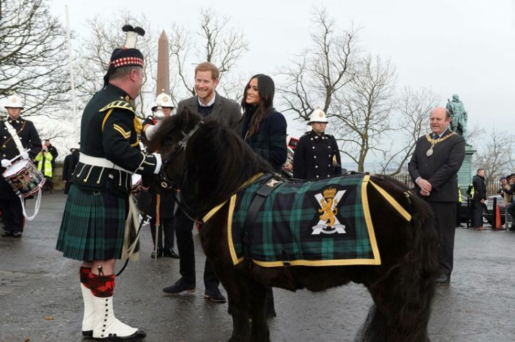 Corporal Cruachan IV meets Harry and Meghan (Picture: MOD) Corporal Cruachan IV