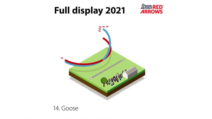 Goose (Picture: Red Arrows). Goose (Picture: Red Arrows).