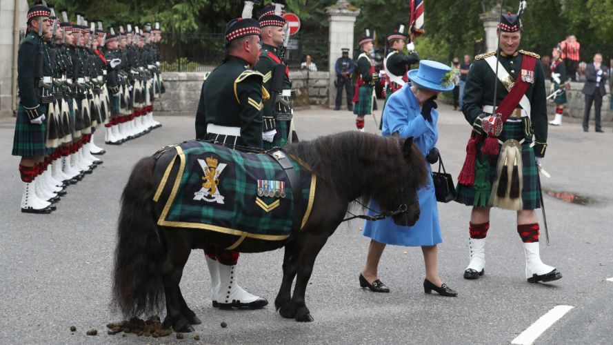 Cpl Cruachan IV meets Queen Elizabeth in 2018 (Picture: PA) Corporal Cruachan IV