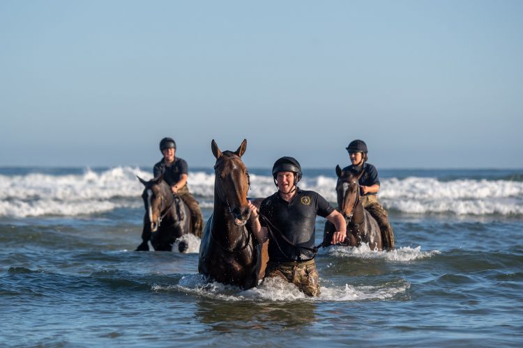 (Picture: PA) Soldiers and horses from The King's Troop Royal Horse Artillery exercise in the sea at Holkham in Norfolk
