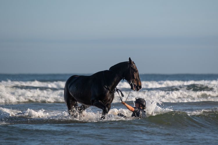 (Picture: PA) Soldiers and horses from The King's Troop Royal Horse Artillery exercise in the sea at Holkham in Norfolk