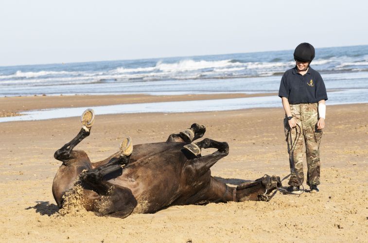 (Picture: PA) Soldiers and horses from The King's Troop Royal Horse Artillery exercise in the sea at Holkham in Norfolk 190919