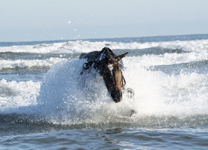 (Picture: PA) Soldiers and horses from The King's Troop Royal Horse Artillery exercise in the sea at Holkham in Norfolk 190919