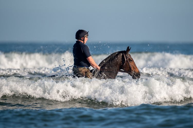 (Picture: PA) Soldiers and horses from The King's Troop Royal Horse Artillery exercise in the sea at Holkham in Norfolk 190919 CREDIT PA