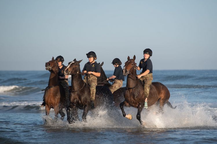 (Picture: PA) Soldiers and horses from The King's Troop Royal Horse Artillery exercise in the sea at Holkham in Norfolk