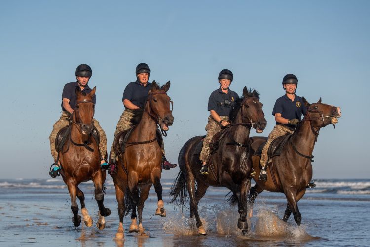 (Picture: PA) Soldiers and horses from The King's Troop Royal Horse Artillery exercise in the sea at Holkham in Norfolk