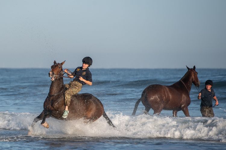(Picture: PA) Soldiers and horses from The King's Troop Royal Horse Artillery exercise in the sea at Holkham in Norfolk