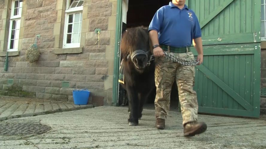 Corporal Cruachan IV Corporal Cruachan IV