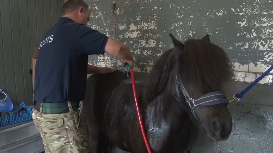 Corporal Cruachan IV gets a wash down Corporal Cruachan IV