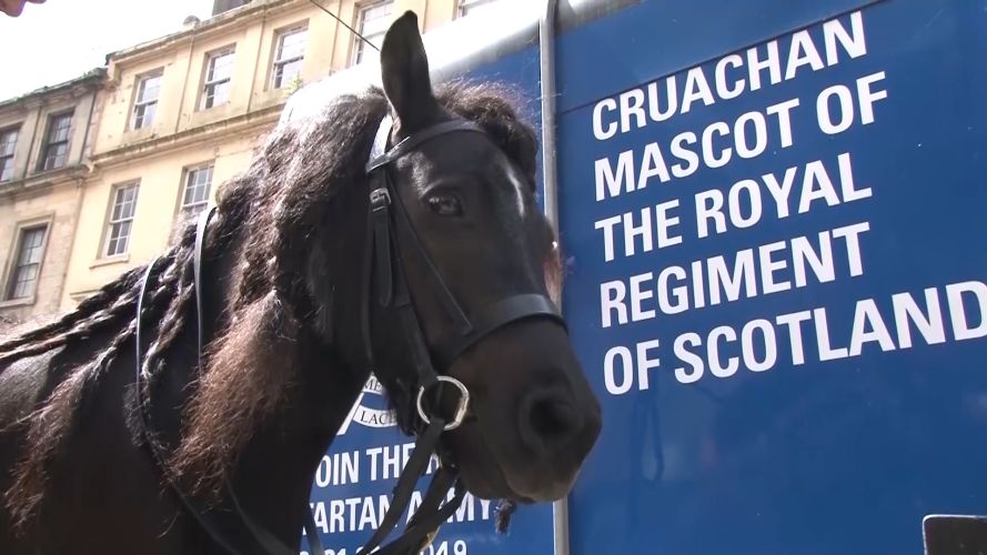 Mascot Corporal Cruachan IV Corporal Cruachan IV