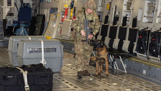 The RAF Akrotiri MWD section has completed over 500 hours of foot patrols
