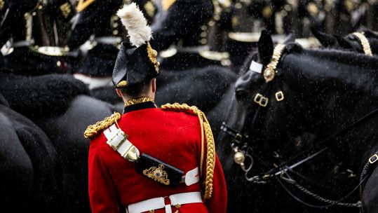 hourse guards parade riders from the back