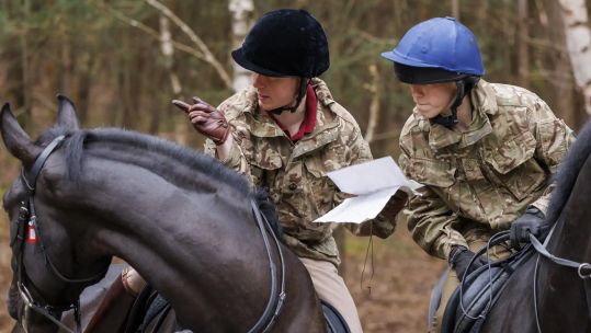 Soldiers and horses are a pairing dating back thousands of years, and these animals still have something to offer in an operational environment