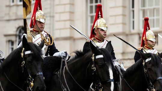he 18th-century stables where the horses are kept while on duty are set to undergo a major deep clean (Picture: MOD)