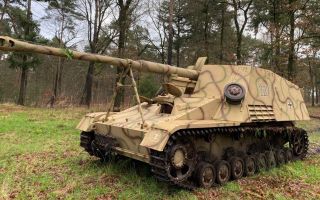 This particular Nashorn, nicknamed Phoenix, is one of only three surviving examples in the world