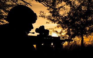 John Healey feared the Defence Investment Plan would not provide the Armed Forces with the funding they need to do their jobs properly (Picture: MOD)